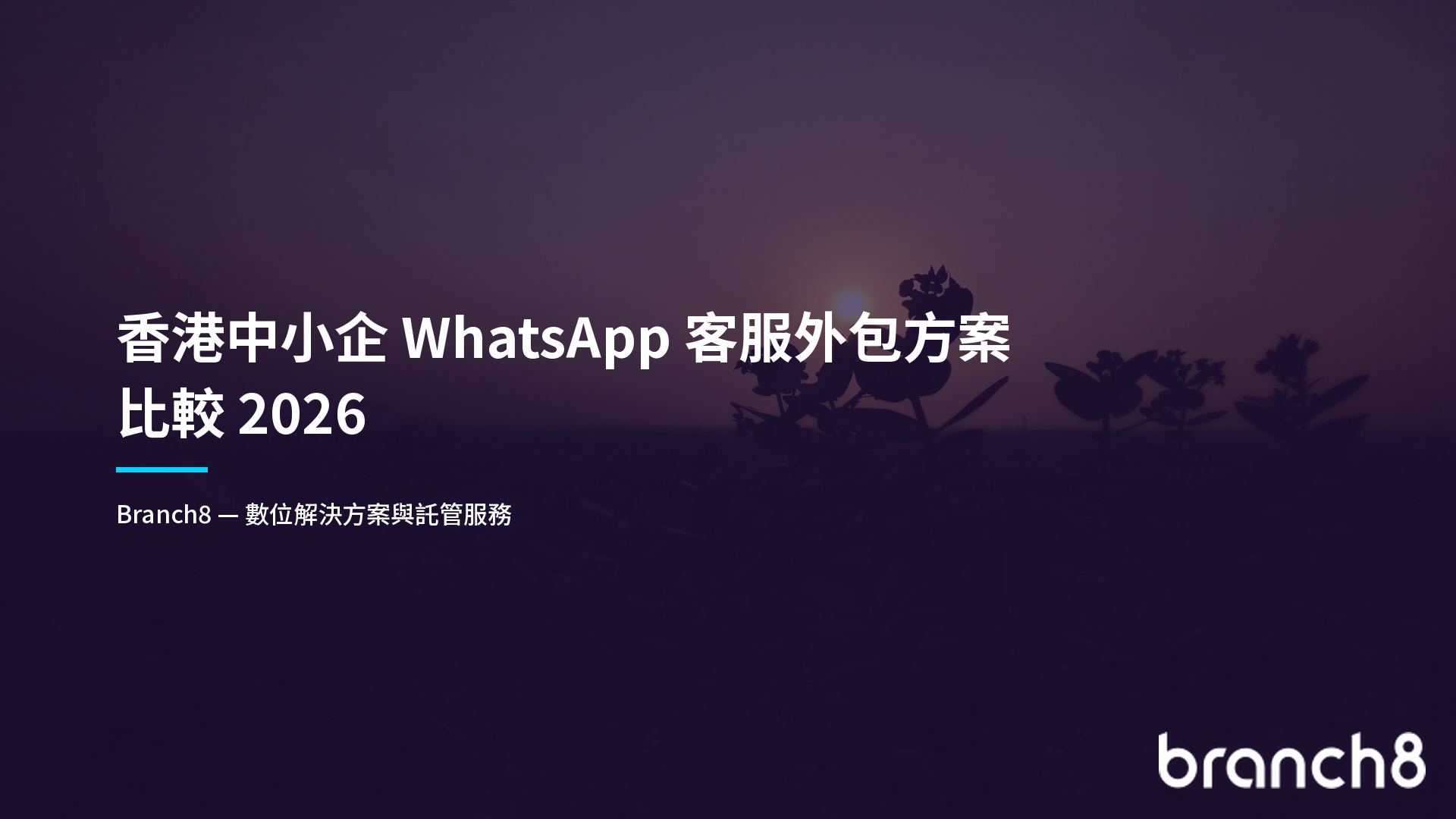 香港中小企 WhatsApp 客服外包方案比較 2026