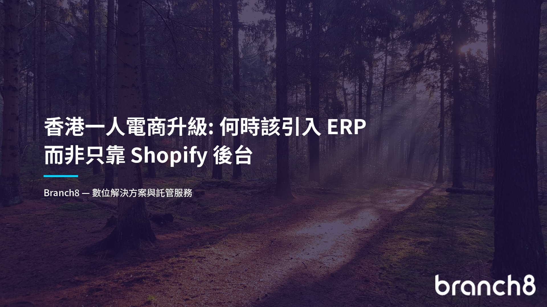 香港一人電商升級：何時該引入 ERP 而非只靠 Shopify 後台