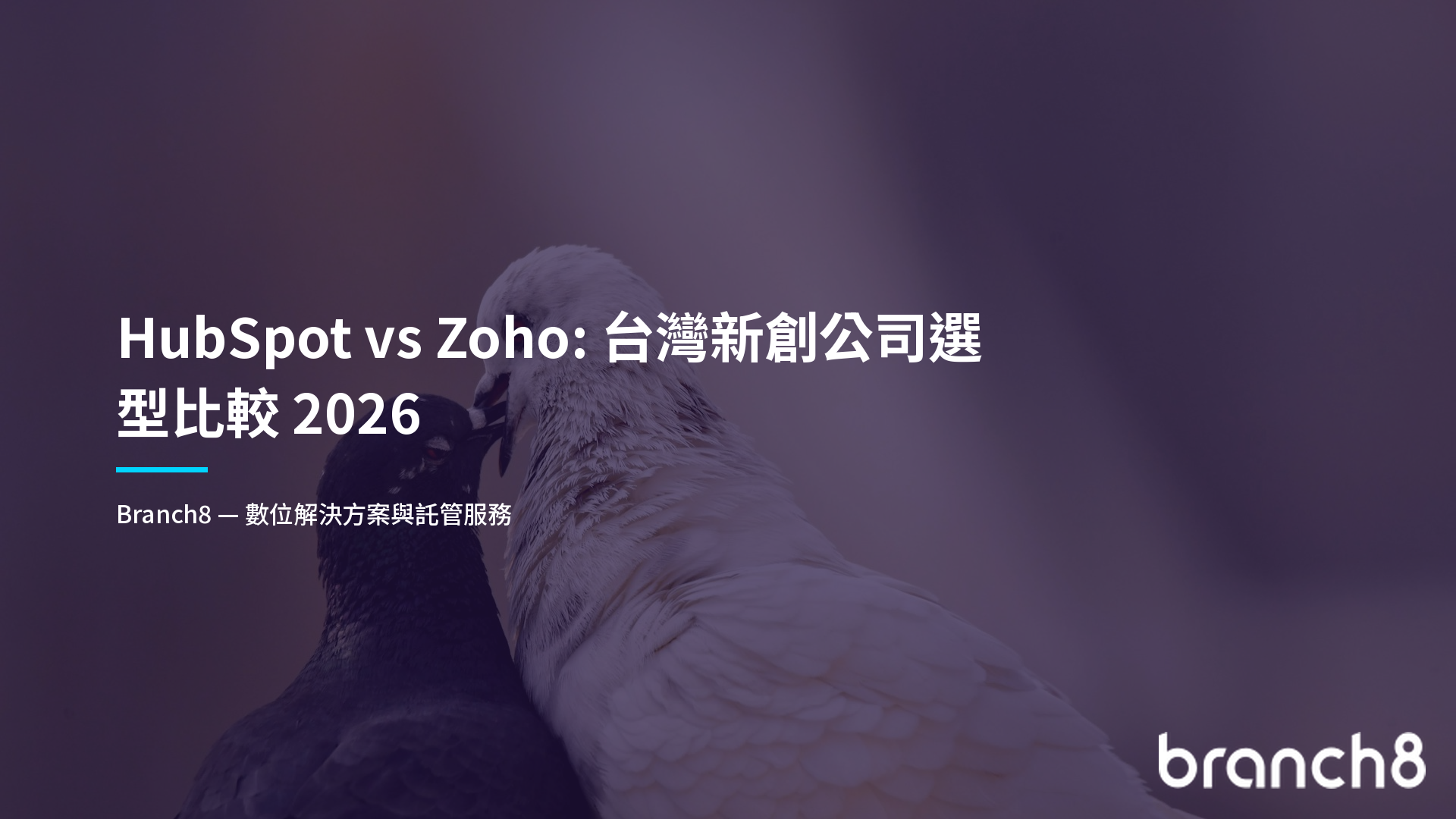 HubSpot vs Zoho：台灣新創公司選型比較 2026