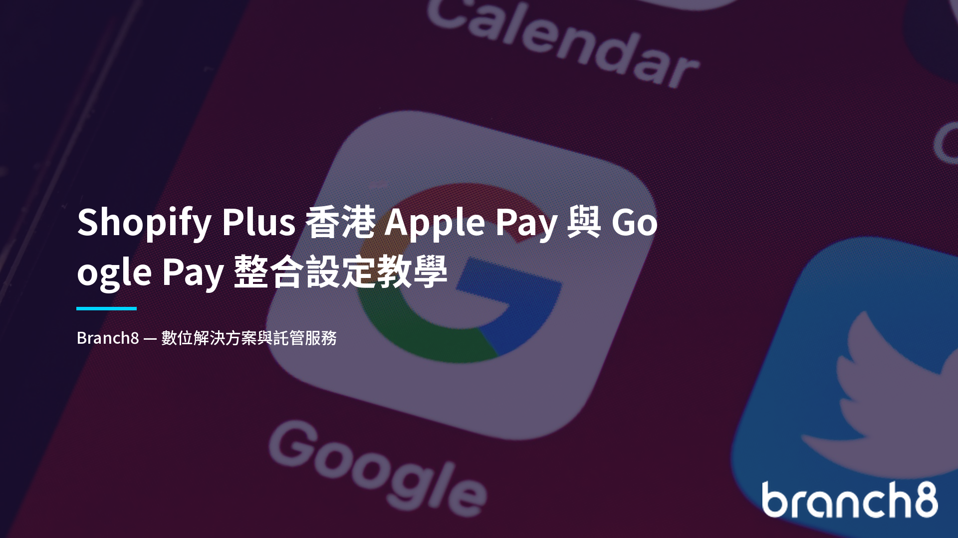 Shopify Plus 香港 Apple Pay 與 Google Pay 整合設定教學