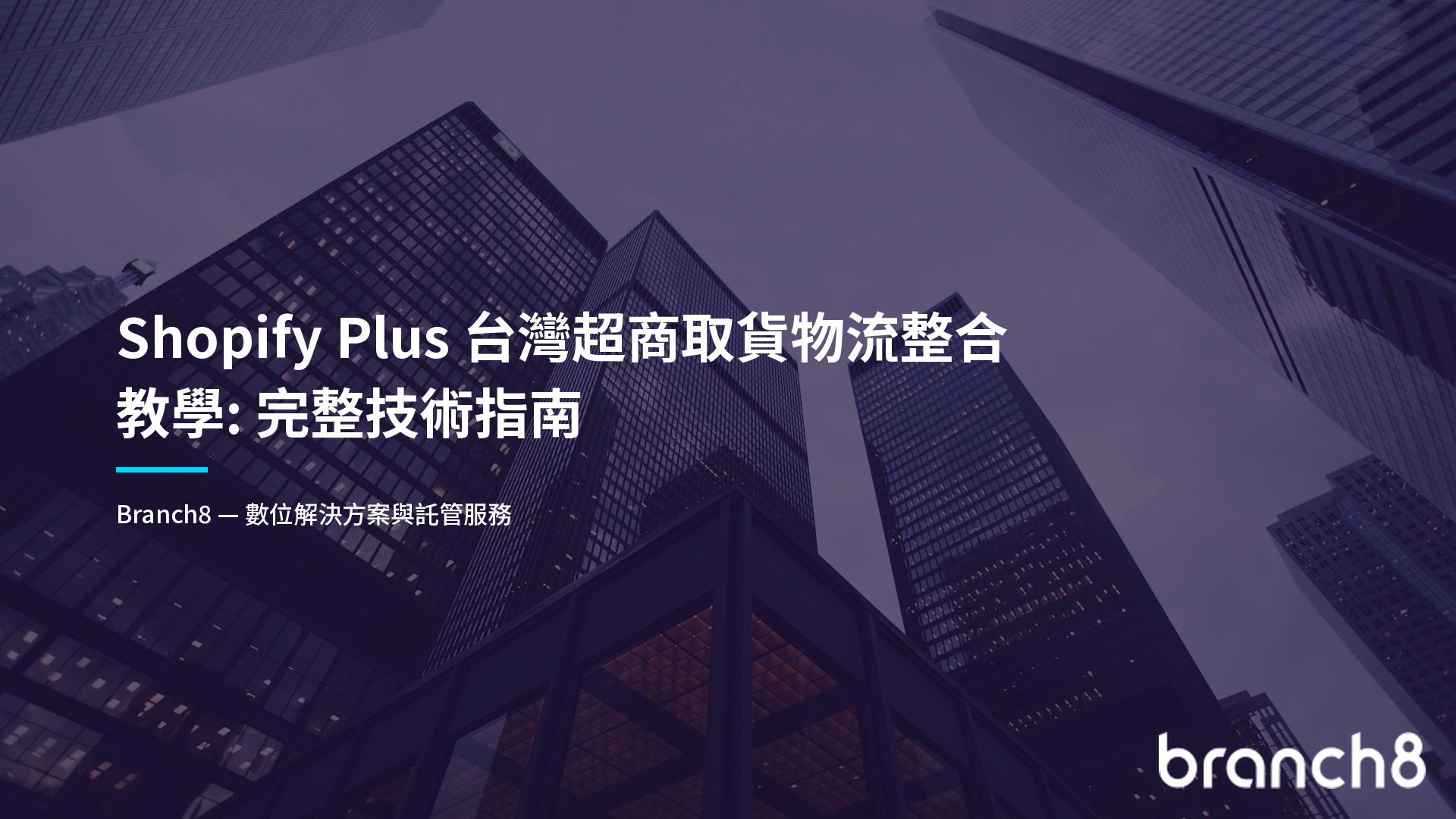 Shopify Plus 台灣超商取貨物流整合教學：完整技術指南