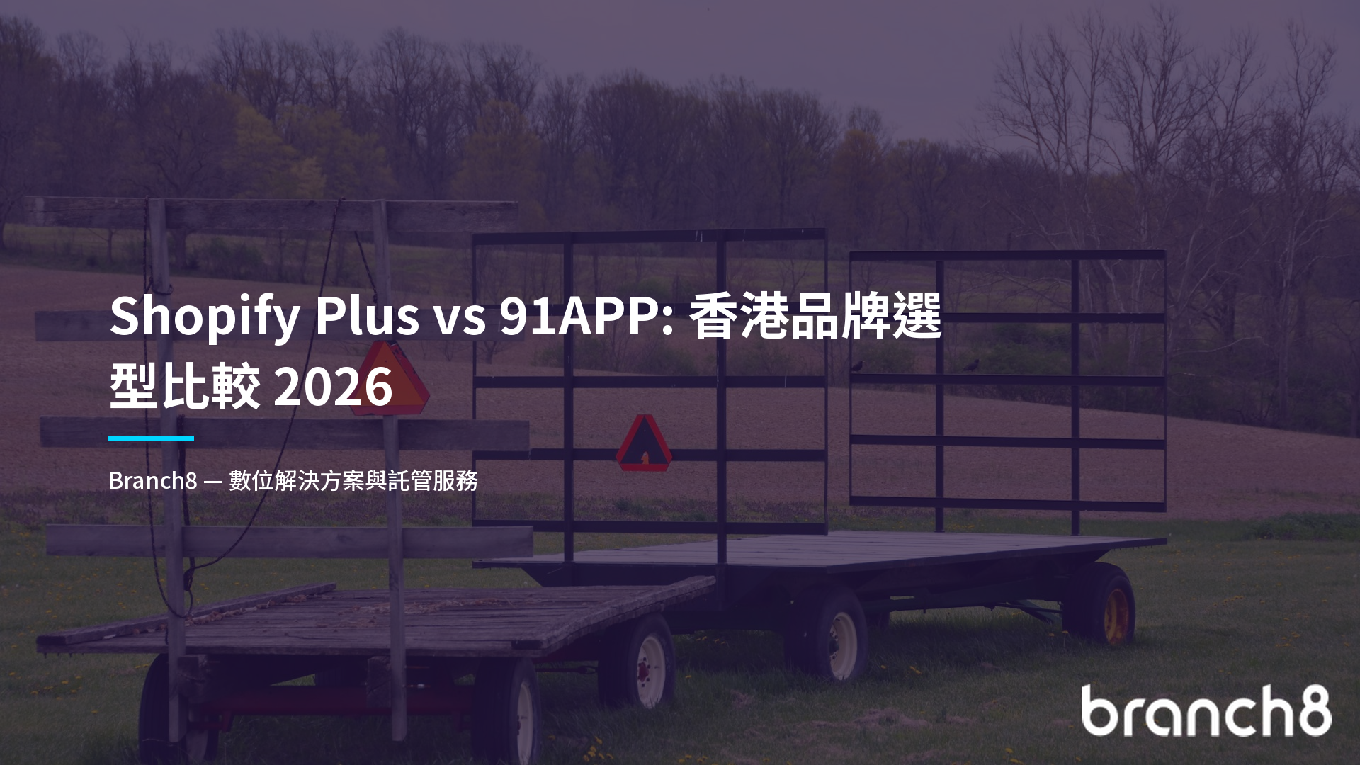 Shopify Plus vs 91APP：香港品牌選型比較 2026