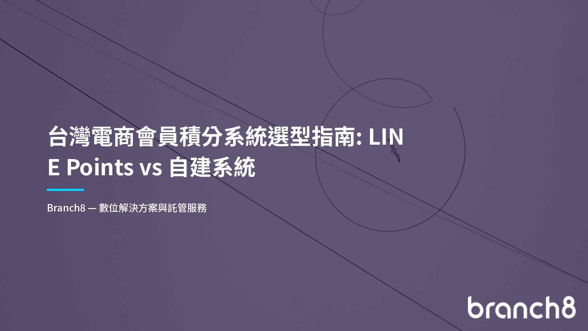 台灣電商會員積分系統選型指南：LINE Points vs 自建系統
