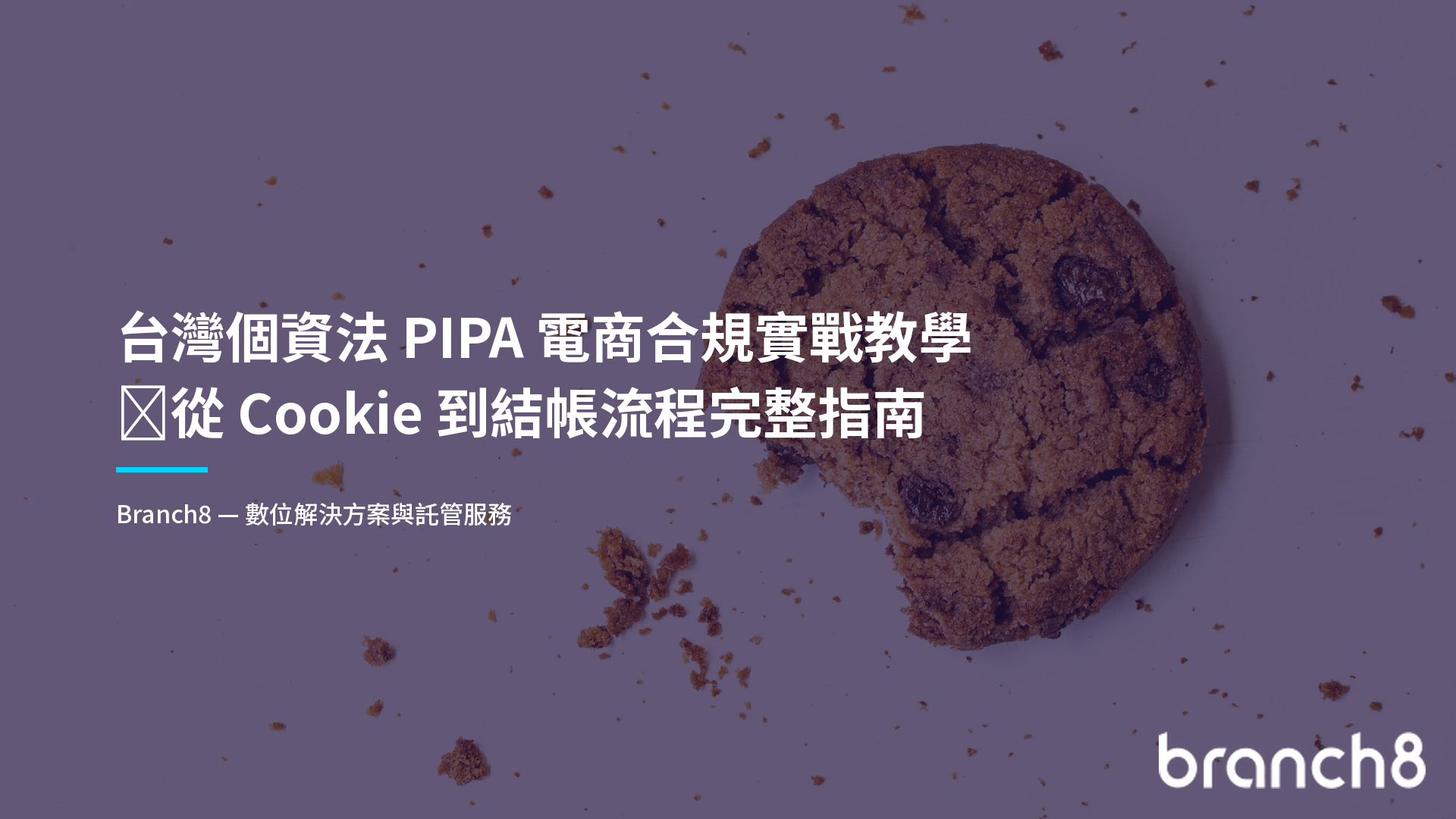 台灣個資法 PIPA 電商合規實戰教學：從 Cookie 到結帳流程完整指南 - Hero