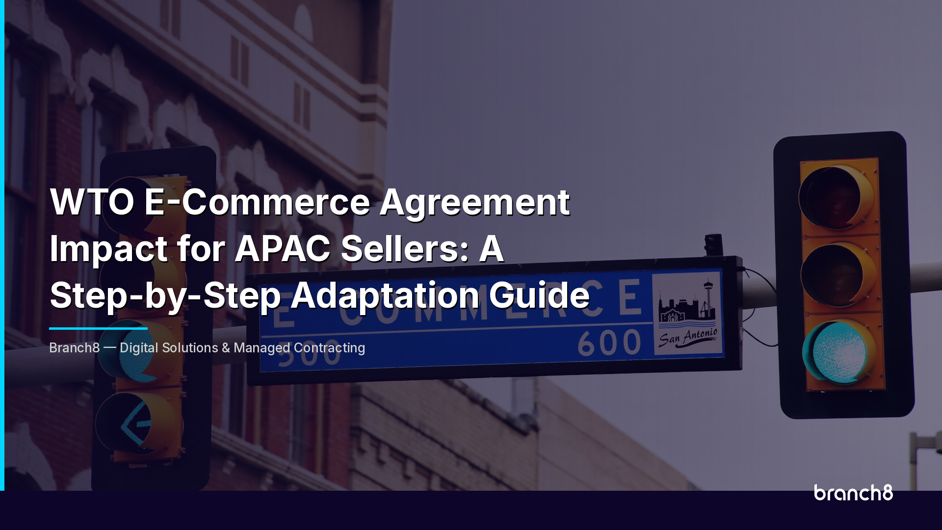 WTO E-Commerce Agreement Impact for APAC Sellers: A Step-by-Step Adaptation Guide - Hero Image