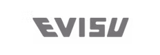 Evisu logo